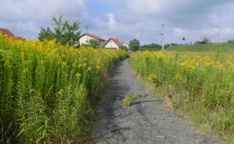 Tomczak, Dworakowski Nieruchomości