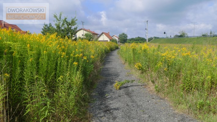 Tomczak, Dworakowski Nieruchomości