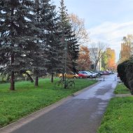 Mieszkanie na wynajem