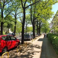 Mieszkanie na wynajem