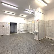 Lokal na wynajem