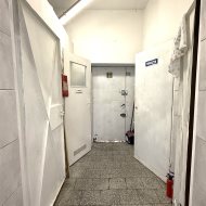 Lokal na wynajem